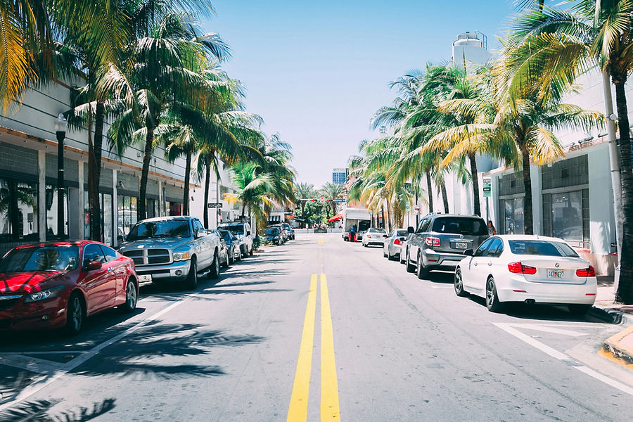 A tree-lined Florida street with parked cars